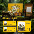 DIY Crystal Terrarium Kit - Image 7