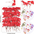 50Pcs Red Babys Breath Dried Pressed Flowers - Image 2