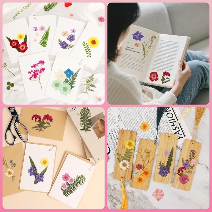NESCCI 420 Pcs Dried Pressed Flowers - Image 2