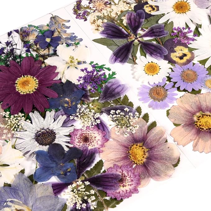 80PCS Pressed Dried Flowers & Leaves, Natural Color | Real Pressed Flowers - Image 5