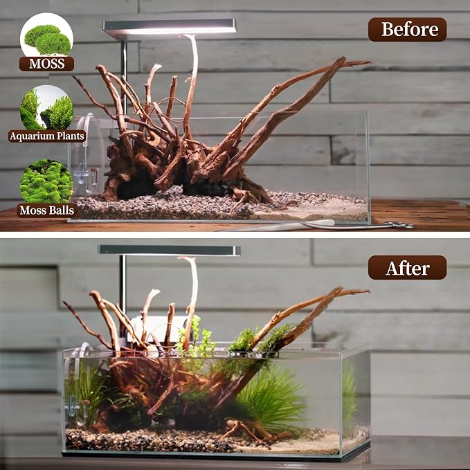 majoywoo Natural Large Driftwood - Image 5