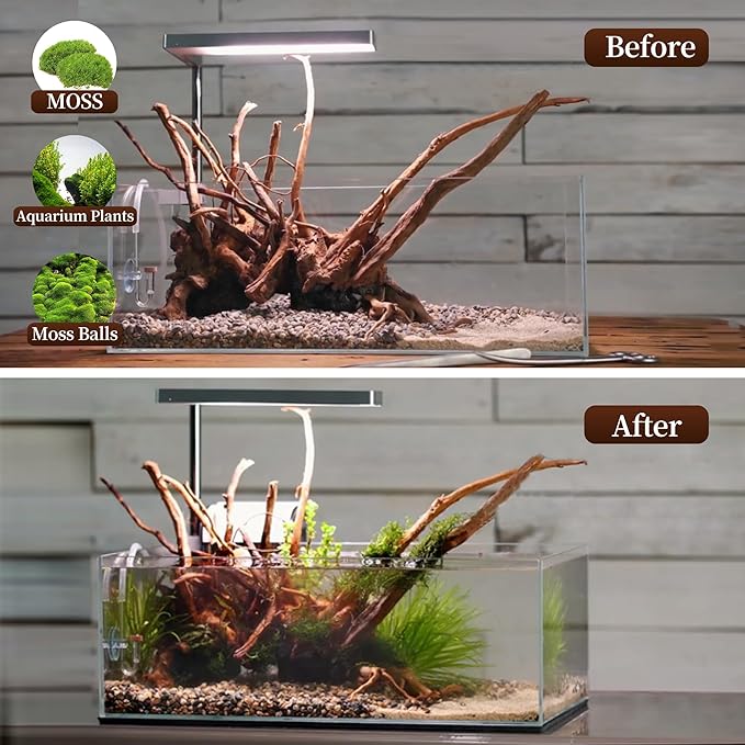 majoywoo Natural Driftwood for Aquarium Decor Fish Tank Decorations, Reptile - Image 5