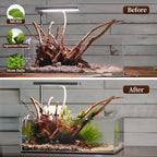 majoywoo Natural Driftwood for Aquarium Decor Fish Tank Decorations, Reptile - Image 5