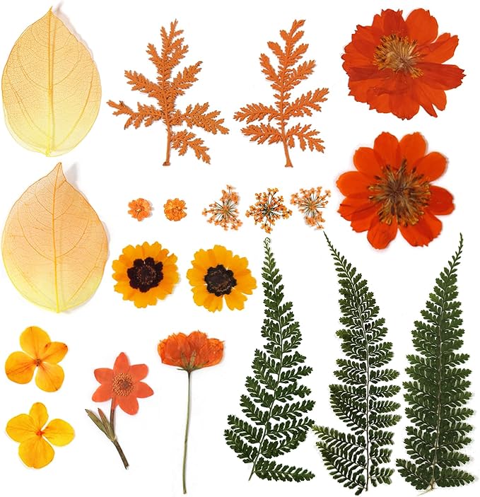 Dried Pressed Flowers Real Natural Petals Bulk Dried Leaves Plant - Image 3