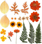 Dried Pressed Flowers Real Natural Petals Bulk Dried Leaves Plant - Image 3