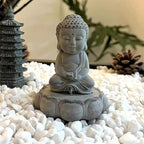 FANTIAN 5 lbs White Pebbles for Indoor Plants, 0.5-1 Inch Pea Gravel Stones for - Image 4