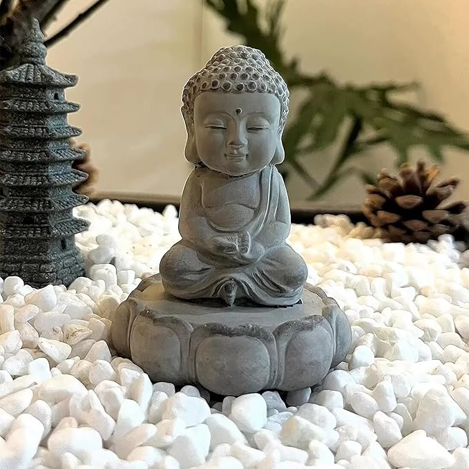 FANTIAN 5 lbs White Pebbles for Indoor Plants, 0.5-1 Inch Pea Gravel Stones for - Image 4
