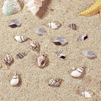 SUNNYCLUE 1 Box 16Pcs Oval Ocean Beach Spiral Seashells Craft Charms Connectors - Image 3