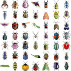 Bug Decals, Realistic Transparent Insect PET Sticker, Waterproof Bug Stickers - Image 6