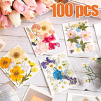 Nuanchu Dried Flower for Crafts Resin Pressed Flowers Bulk Real Dried - Image 2