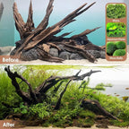 Jorewood Natural Aquarium Driftwood - Image 7