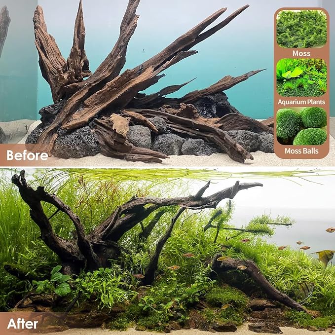 Jorewood Natural Large Aquarium Driftwood - Image 7