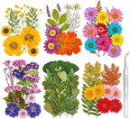 181 pcs Dried Flowers for Resin, Natural Flowers and Leaves Kit by Unknown