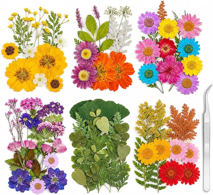 181 pcs Dried Flowers for Resin, Natural Flowers and Leaves Kit by Unknown