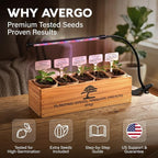 Bonsai Tree Kit Deluxe + Growing Light - Image 5