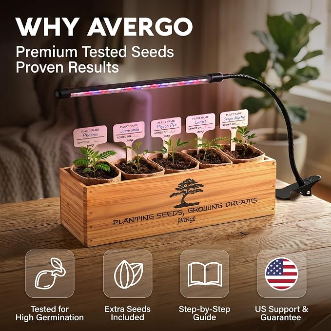 Bonsai Tree Kit Deluxe + Growing Light - Image 5