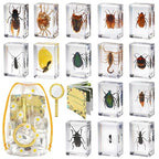 15 Real Insect Resin Specimens Set by Unknown