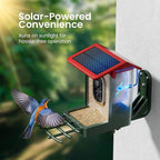 Smart Bird Feeder with Camera Solar Powered, 2K HD Video, AI Bird Species - Image 4