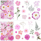 92Pcs Pink Dried Pressed Flowers - Image 3