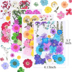 141Pcs Colorful Dried Pressed Flowers - Image 2