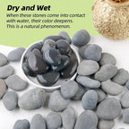 7LB River Rocks, Mexican Beach Pebbles - Image 4
