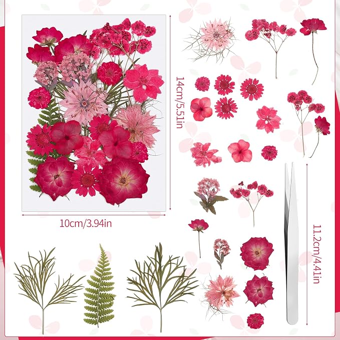 100 Pcs Dried Pressed Flowers, Real Natural Dried Wildflowers Leave - Image 5