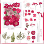 100 Pcs Dried Pressed Flowers, Real Natural Dried Wildflowers Leave - Image 5
