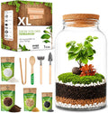 Terrarium Kit for Plants DIY | Starter Pack – Closed Ecosystem – 1 Gal Glass – by PYEFCRAFTS