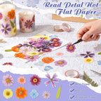 96 Pcs Natural Dried Pressed Flowers - Image 4