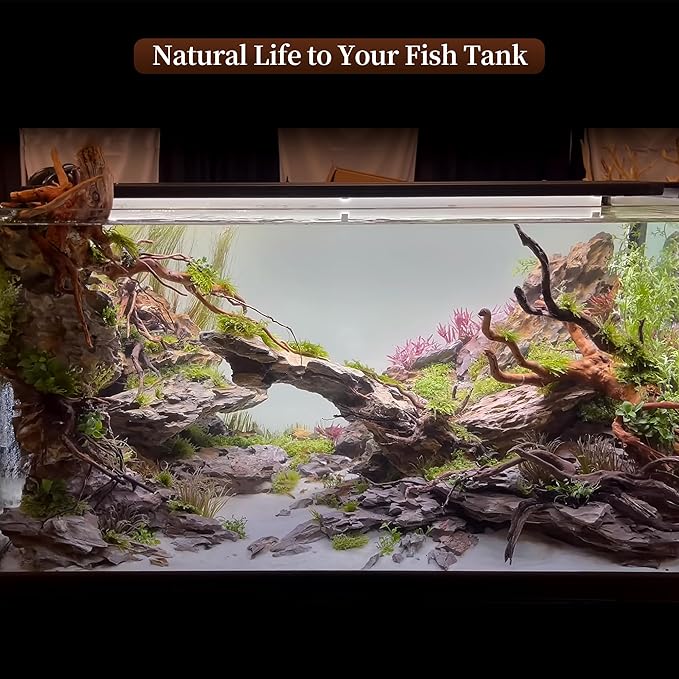 majoywoo Natural Driftwood for Aquarium Decor Fish Tank Decorations, Reptile - Image 6