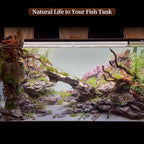 majoywoo Natural Driftwood for Aquarium Decor Fish Tank Decorations, Reptile - Image 6