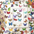 COMNICO Butterfly Stickers PET Waterproof Transparent Colorful Resin Decals - Image 6