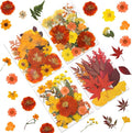 LUXEEASE 80P Autumn Tone Dried Pressed Flowers | Maple ginkgo plus blooms by LUXEEASE