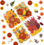 LUXEEASE 80P Autumn Tone Dried Pressed Flowers | Maple ginkgo plus blooms by LUXEEASE