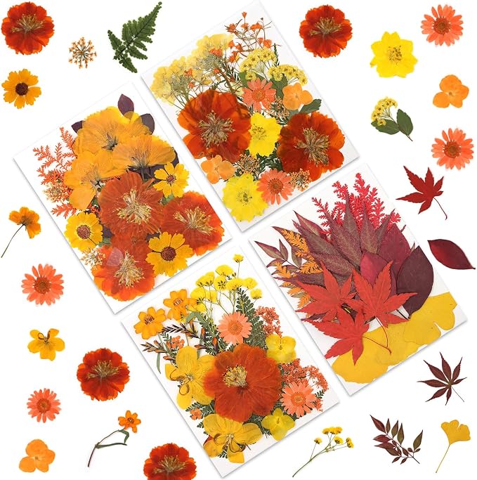 LUXEEASE 80P Autumn Tone Dried Pressed Flowers | Maple ginkgo plus blooms by LUXEEASE