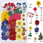 35Pcs Dried Pressed Flowers Leaves - Image 2