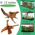 Azil Natural Driftwood 9''-12'' – Perfect Aquarium Decoration - Image 9