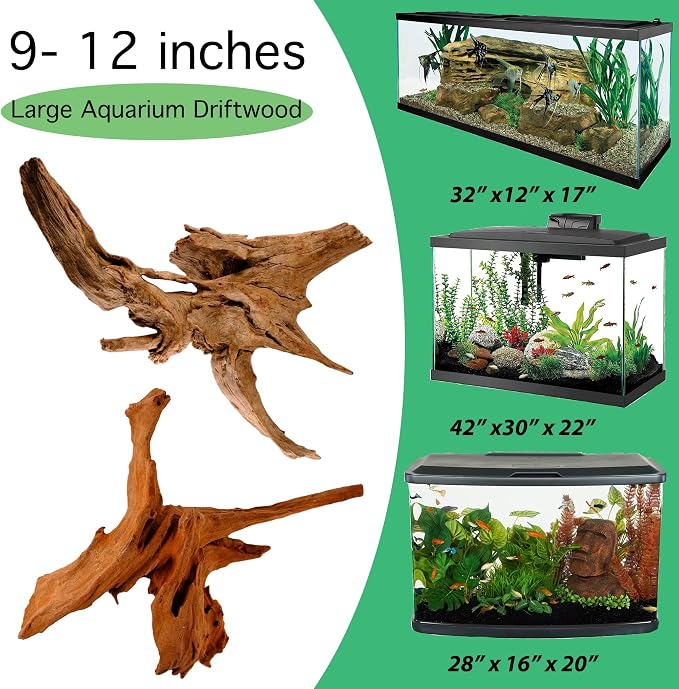 Azil Natural Driftwood 9''-12'' – Perfect Aquarium Decoration - Image 9