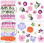 116pcs Dried Pressed Flowers for Resin, Natural Real Dried Flowers for Crafts & - Image 2