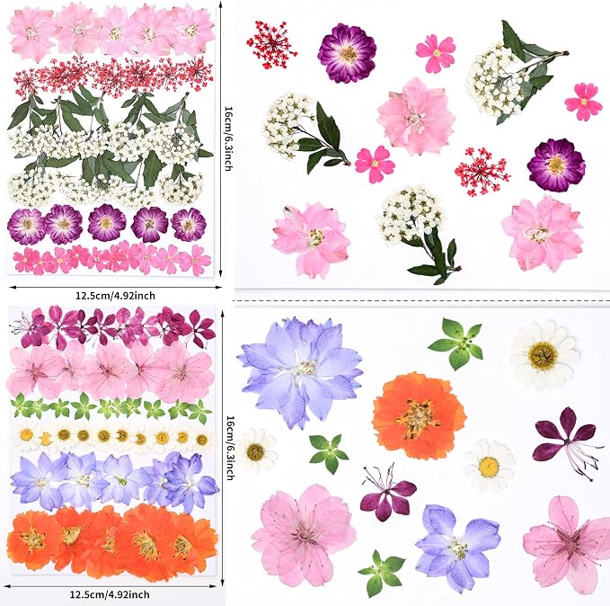 116pcs Dried Pressed Flowers for Resin, Natural Real Dried Flowers for Crafts & - Image 2