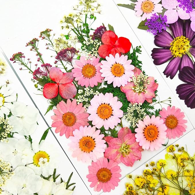 83 Pcs Pink Real Dried Pressed Flowers Natural Leave Petals - Image 3