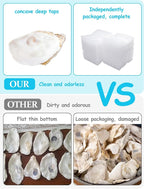 10Pcs Oyster Shells for Crafts， 4"-5" Large Oyster Shell for Crafts，Oyster - Image 6