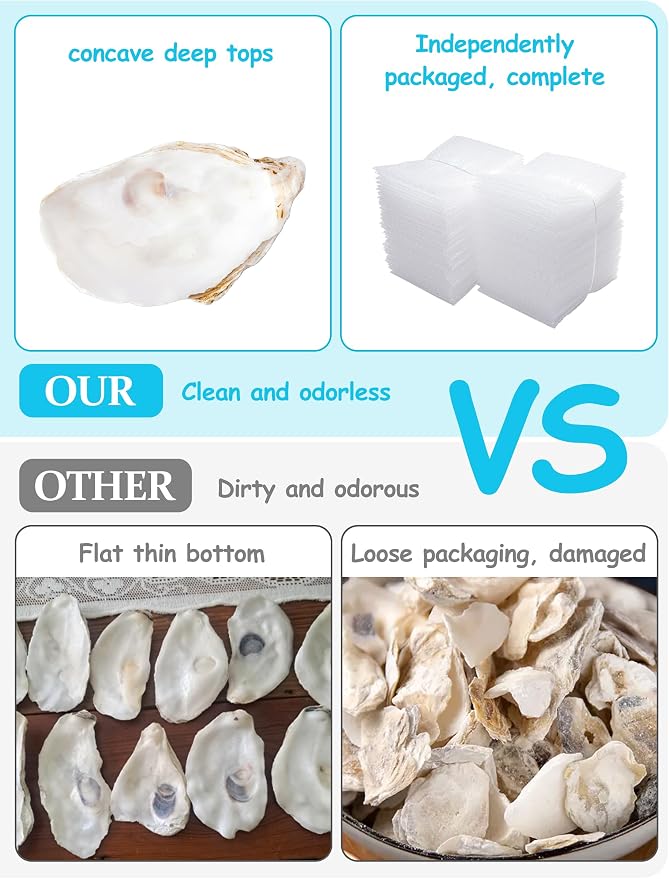 10Pcs Oyster Shells for Crafts， 4"-5" Large Oyster Shell for Crafts，Oyster - Image 6