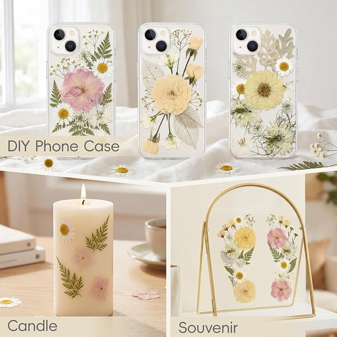 LUXEEASE 80P White Pink Dried Pressed Flowers | Ivory white palette, fits any - Image 8