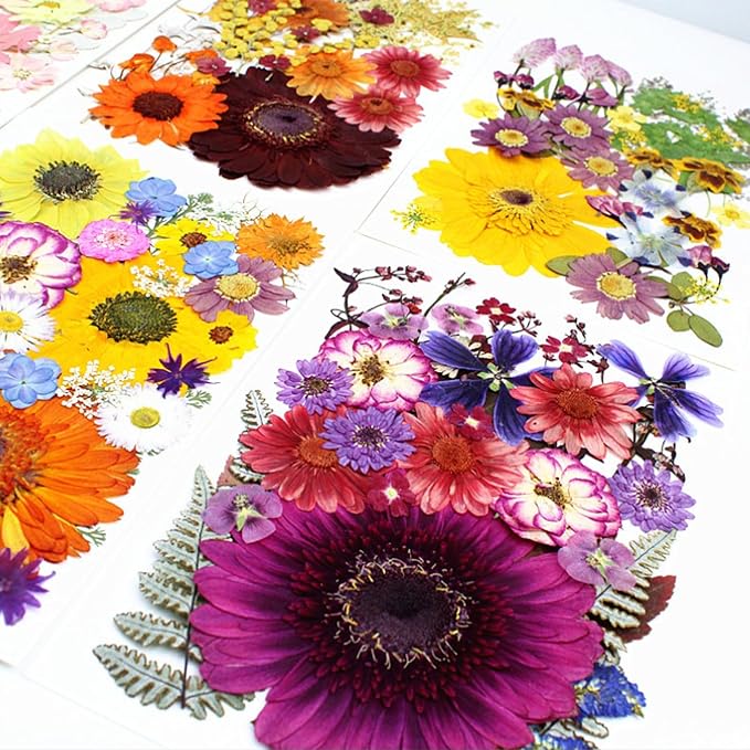 35Pcs Dried Pressed Flowers for Crafts Resin DIY Art Natural Dry Floral Large - Image 4