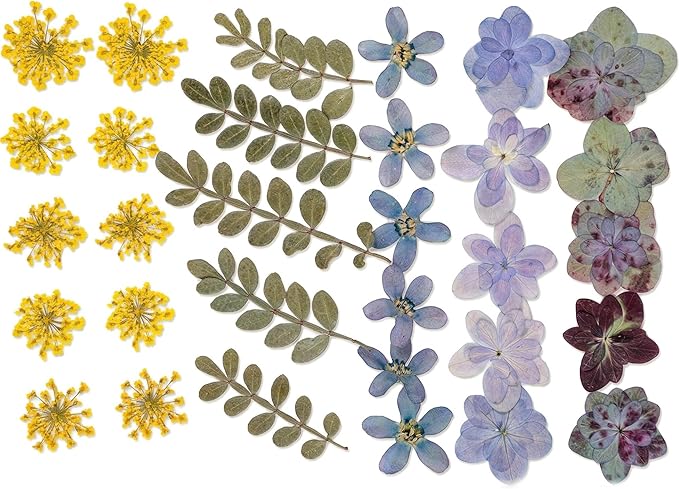 86pcs Pressed Flowers for Resin, Dried Flowers and Dry Leaves for Scrapbooking - Image 6