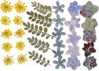86pcs Pressed Flowers for Resin, Dried Flowers and Dry Leaves for Scrapbooking - Image 6