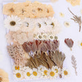 100 PCS Real Dried Pressed Flowers Leaves Natural Plant Herbarium by AHTONG
