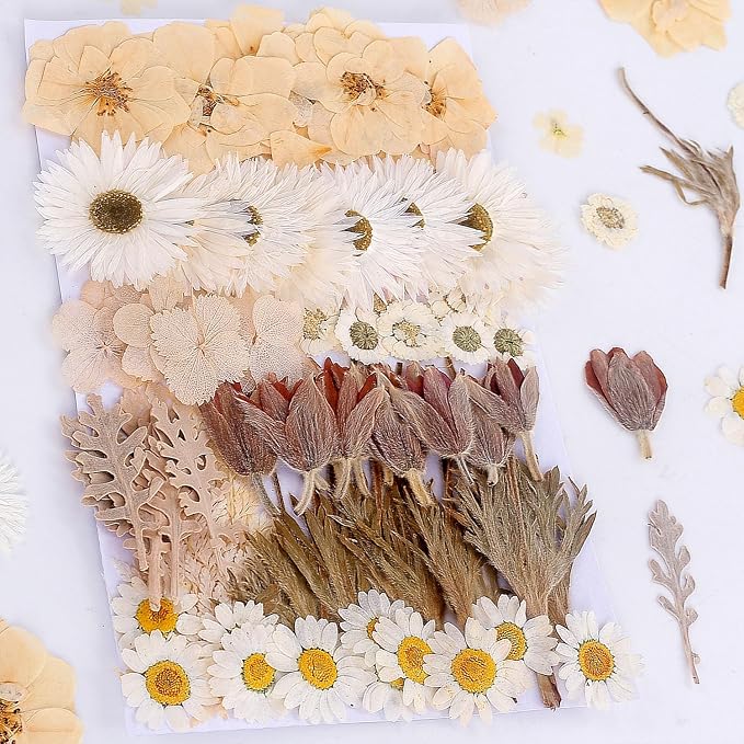 100 PCS Real Dried Pressed Flowers Leaves Natural Plant Herbarium by AHTONG