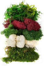 SuperMoss Moss Mix – Premium Decorative Moss - Image 2